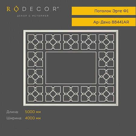 Готовое решение RODECOR Ар-Деко Эрте Ф1 99441AR (4000*5000), компл